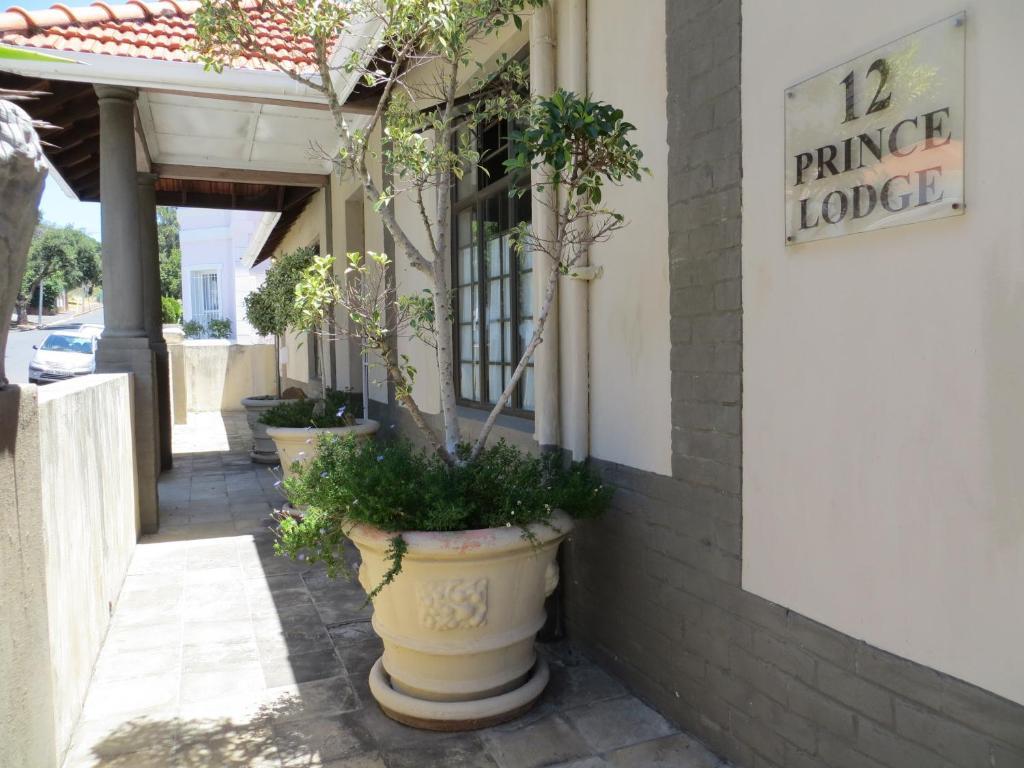 كيب تاون Prince Lodge المظهر الخارجي الصورة